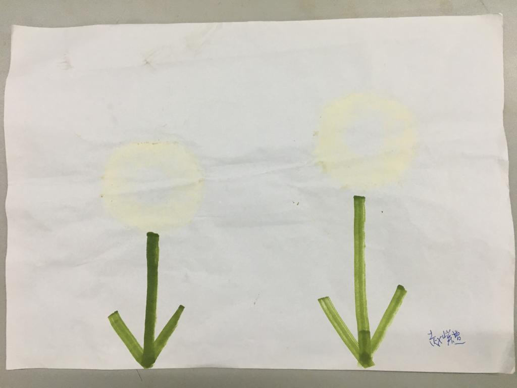 孢子印画简单图片